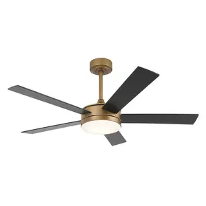 48 Inch Tracy Downrod Mount LED Ceiling Fan with APP & Remote Control