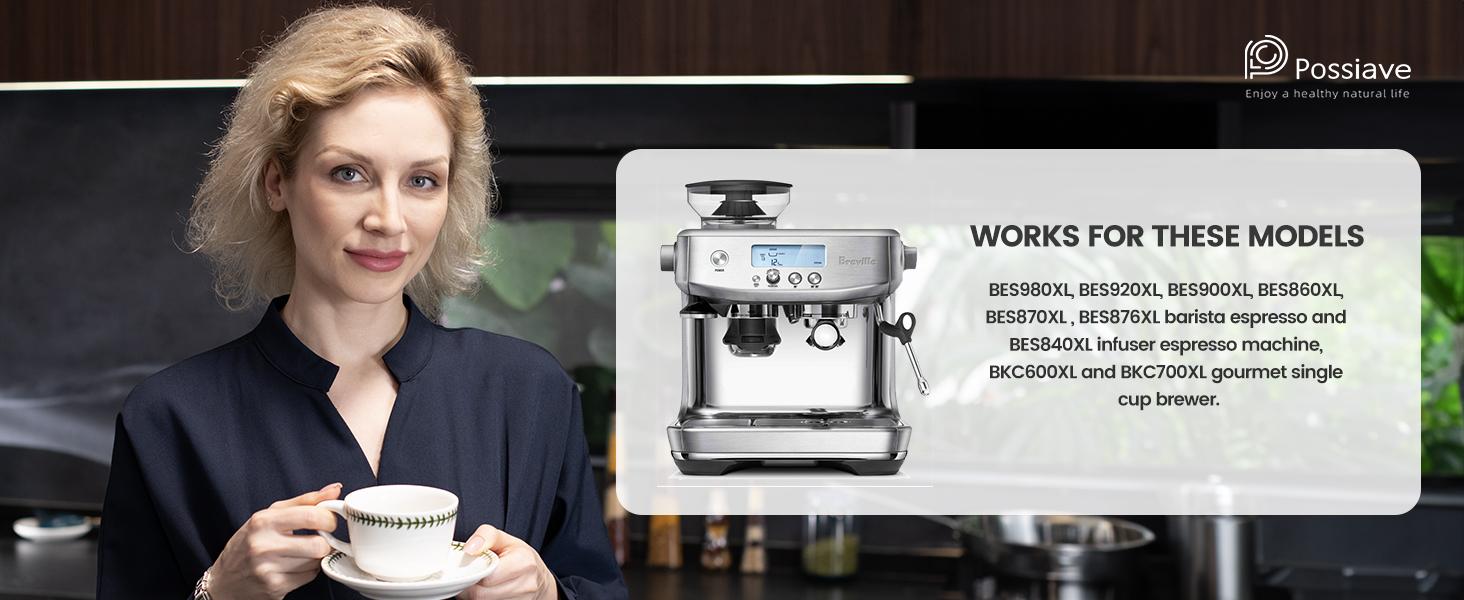 12-Pack Charcoal Water Filters, Replacement for Breville BWF100 Espresso Machines