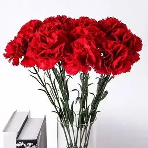 Artificial Carnation Flower Bouquet, Faux Carnation Flower, Decorative Flowers for Home Party Wedding, Home Decor Supplies, Fruit