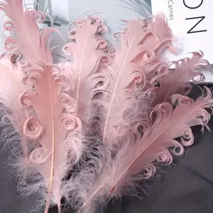 61PCS Creative and High-Value Goose Feathers - Vase Filling Feathers, Soft, Large, Floating, Curly Feathers, DIY Colorful Decorative Materials, Art Accessories