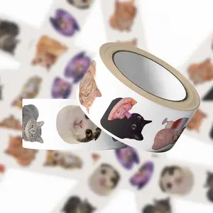 500PCS Cat Meme Stickers Roll 10 Styles Funny Cat Stickers Cute Animal Decals Vinyl Waterproof Sticker Cute Sticker Pack Self Adhesive Stickers Stickers Kit (500 Per Roll)