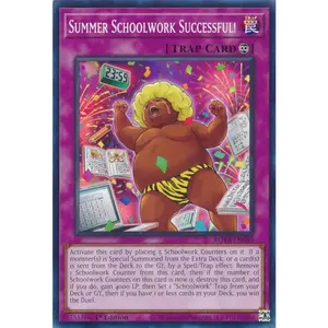 Summer Schoolwork Successful! | ROTA-EN080