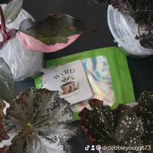 review image 2