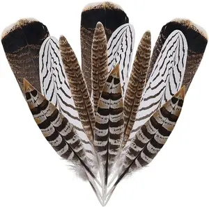 12Pcs Natural Pheasant Feathers 10-30cm 4 Style Feathers Mixed Feathers for DIY Craft Wedding Home Party Decorations