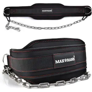 Dip belt With 37-40" Chain, 550lbs - 650lbs Weight Capacity, Weightlifting Belt for Dips and Pullups
