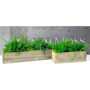Set of 2 Wooden Planter Boxes With Preserved Moss and Ferns - No Watering