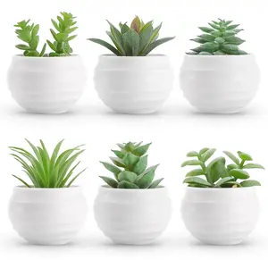 Set of 6 Succulents Plants Artificial in Pots Small Fake Plants for Bedroom Aesthetic Living Room Shelf Bathroom Decor Office Desk Accessories
