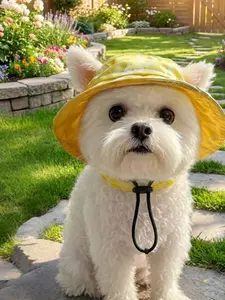 Pet Bucket Hat with Exposed Ears, Adjustable Pet Sun Hat, Avocado Hat, Dog Hat, Cat Hat, Pet Fashion Accessory, Fall & Winter
