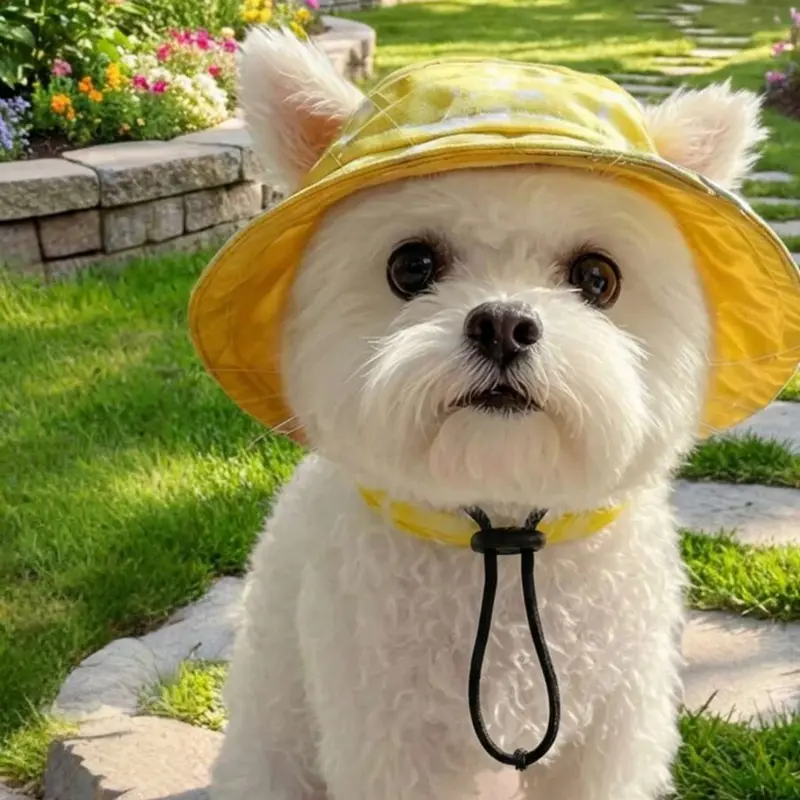 Pet Bucket Hat with Ear Holes, Adjustable Sun Hat, Dog Hat, Cat Hat, Pet Fashion Accessory