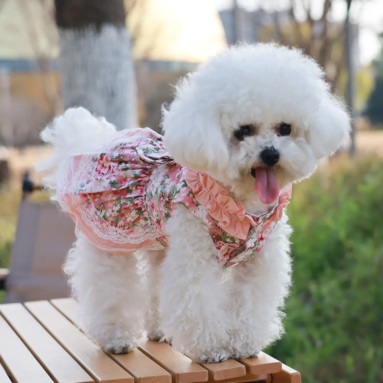 summer dress dog fashion Spring & Summer Dog Clothes  Designer Dresses, Shirts & Accessories   Waggy Pups