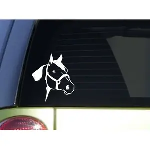 Quarter Horse sticker *I843* 6 inch Sticker horse decal  ˜