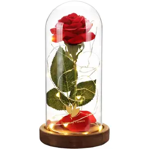 Valentine - Beauty and the Beast Rose