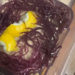 Herb To Body Irish Sea Moss | Wildcrafted & Sundried | Premium Quality Purple