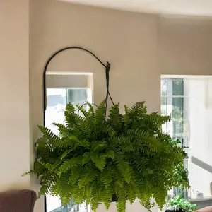 12" Wrought Iron Plant Hanger - Made in the USA