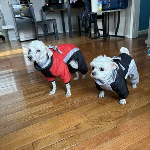 Autumn/Winter New Fleece Warm Dog Clothes, Waterproof Leashable Four-Legged Pet Jacket, Outdoor Reflective Anti-Cold Dog Coat