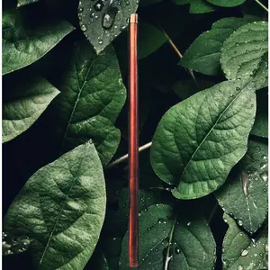 SpiritBound Rod - Versatile Spiritual & Meditation Tool for Grounding Experience