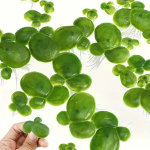 36pcs Realistic Water Lettuce Plants, Fresh Plastic Aquarium & Pond Decor, Easy Maintenance, Durable for Fish Tanks & Ponds