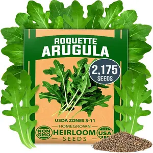 Arugula Roquette Seeds Pack (4.5g) 2175 Non-GMO Heirloom Arugula Seeds for Planting - Best for Outdoor Gardens, Providing Fast-Growing Greens for Salads and Sandwiches - Eruca vesicaria