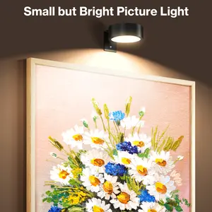 Picture Light Wall Light 3 Pack Rechargeable with Remote 12 Colors Dimmable Timer Magnetic Wireless Art Display Lighting for Painting Photo Frame Poster (Renter Friendly)