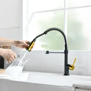 Black & Gold Pull-Out Sprayer Kitchen Faucet - Commercial Single Handle