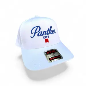 Panther City Ultra | Snapback