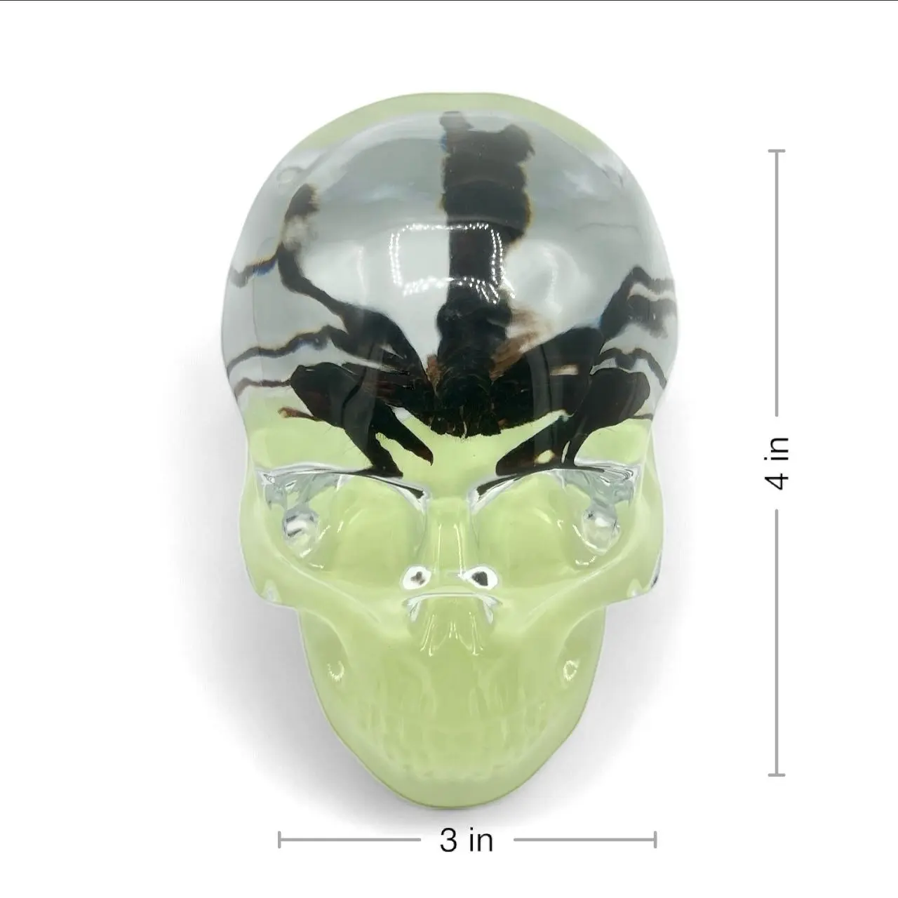 Real Black Scorpion in Glow-in-the-Dark Resin Skull (Large) – Unique Resin Art, Entomology Collectible & Home Decor Ornament, Halloween Gift Spooky Sculpture, Scorpio Unique Gift Decoration desk decor ornament