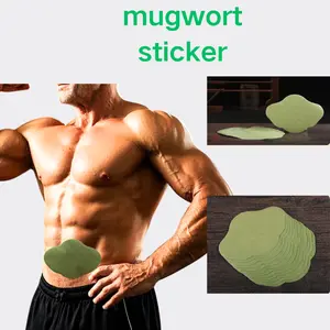 72pcs/Box Wormwood Patch Mugwort Patch Magnetic Patch Belly Button Patch Natural Herbal Patch Honey Patch