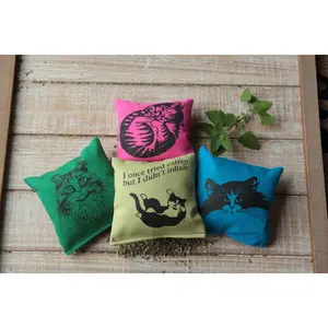 Dr. Pussums Soft Square Catnip Pillow