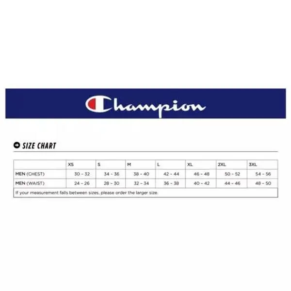 Champion Men's Classic Graphic Logo Crew Neck Short Sleeve T Shirt