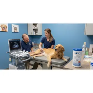 Vet-Safe Ultrasound & Surface Disinfecting Wipes – Alcohol-Free 80ct Canister