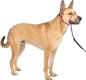 ® Gentle Leader® Headcollar, No-Pull Dog Collar, Medium 25-60 Lb., Raspberry