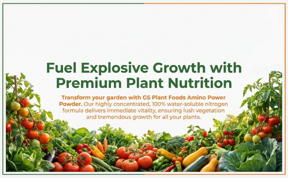 14-0-0 Amino Power Powder by GS Plant Foods | Plant-Based Organic Nitrogen Fertilizer with 18 Amino Acids for Faster Growth, Greener Leaves & Stronger Roots | Gardens, Turf & Hydroponics