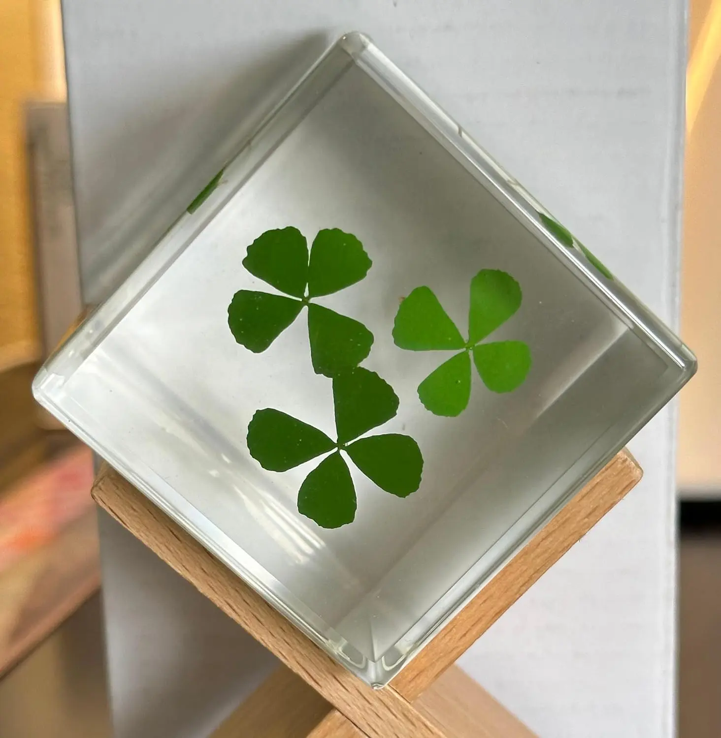 2" Real Three Four Leaf Clovers Shamrock in Crystal Clear Lucite Resin Cube Specimen St.Patrick's Day "Lucky Leaf" Gift Crafts Collection