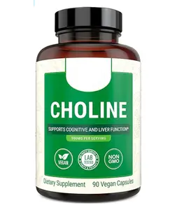 Choline Bitartrate 500mg | High Potency Choline Supplements | Supports Cognitive Performance & Liver Function | 100% Vegan & Non-GMO Choline | 2-Pack (180 Vegan Capsules)