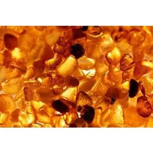 Amber Essential Oil | Sweet and Warm