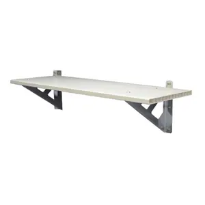 212 MAIN Palram-Canopia SkyLight Wall-Mount Storage Shed Shelf Complete Kit, Steel-PVC Shelves, 66lb Weight Capacity