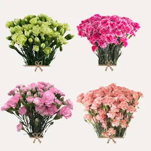 Mini Carnation Assorted Spring 150 Stems Select Spray Carnation 60cm 15 Bunches of 10 Stems for Easter Décor Eco-Friendly Flowers