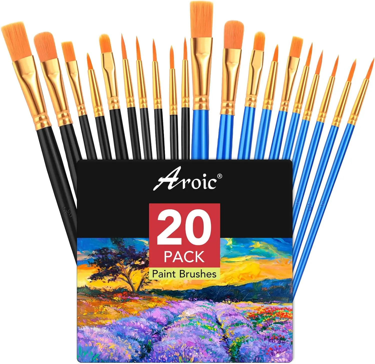 Paint Brush Set, 2 Packs/20 pcs Watercolor Brushes Painting Brush Nylon Hair Brushes for All Purpose Oil Watercolor Painting Artist