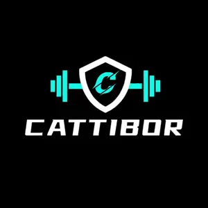 CATTIBOR