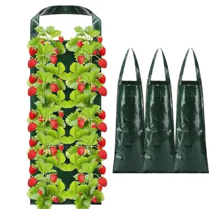 Breathable Planting Bags Set of 3, Strawberry Growing Bags with 10 Holes, Hanging Vegetable Bags for Strawberries Vegetables Flowers