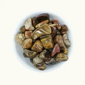 Petrified Wood Tumbled
