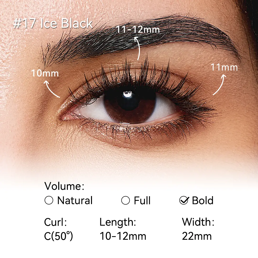 #17 Ice Black  All-in-One