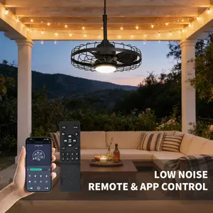 20 Inch Black Outdoor Caged Ceiling Fan with Light, 6-Speed Reversible DC Motor, Remote & App Control with Timer, Weather Resistant Fandelier for Small Porch Patio