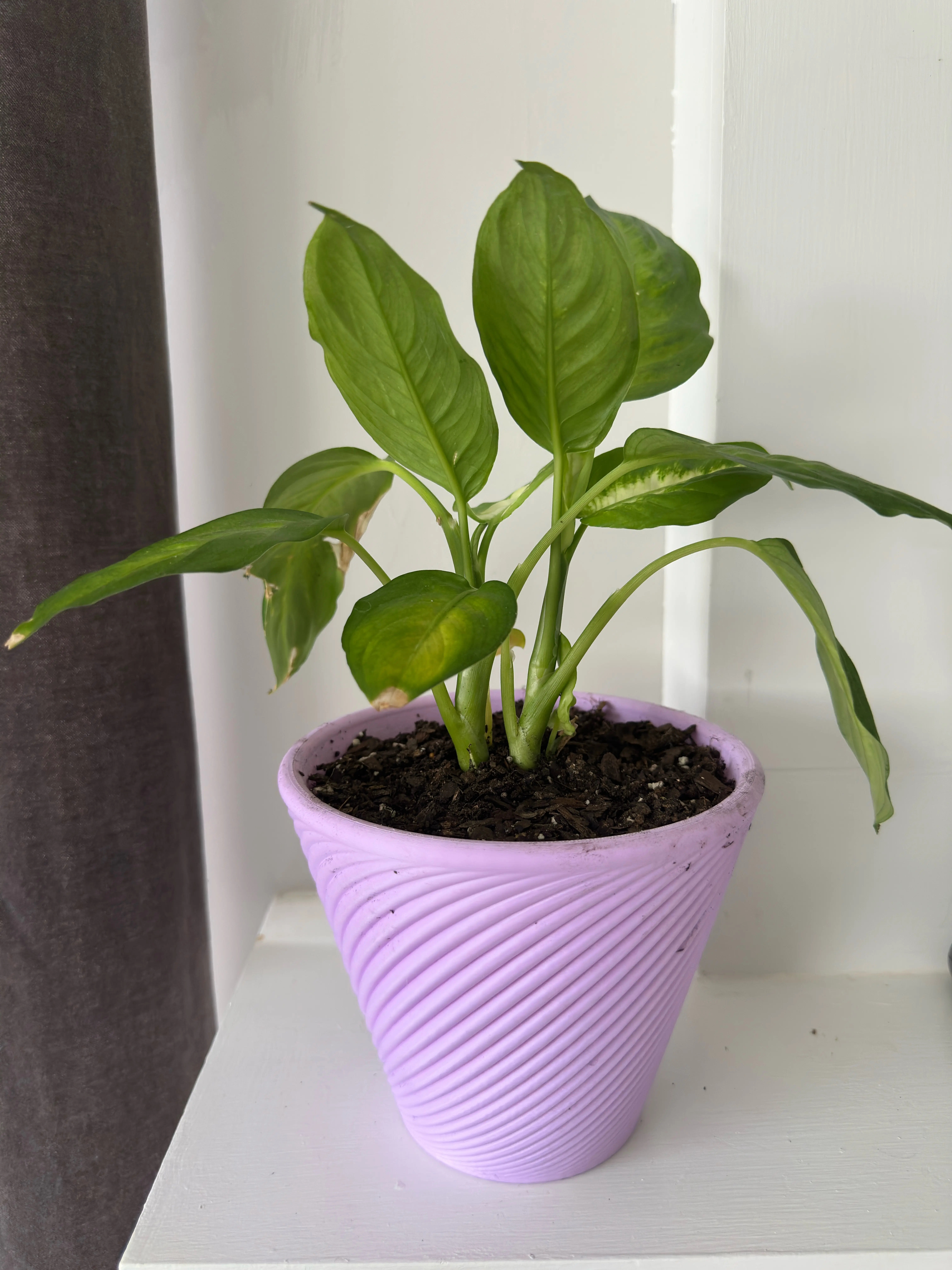Lavender Spiral Flower Pot – Modern Purple Planter for Succulents, Houseplants & Indoor Décor
