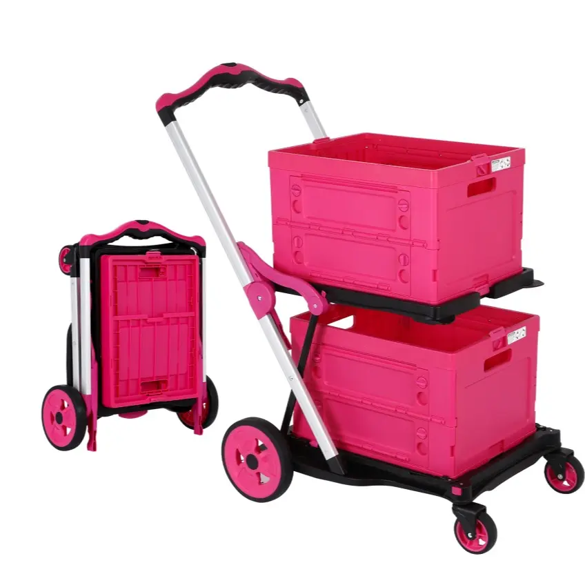 ALL PINK  (TWO  Baskets)