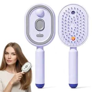 2026 New Electric Steam Brush, Electric Steam Brushs for Hair, Rechargeable Steam Hair Straightener, Detangling Steams Brush, Reduce Frizz, Nourishes Hairs, Anti-Static