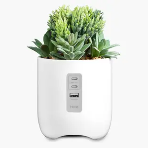 Power Plant Faux Succulent with USB Charging Station for iPhone, Android, and Samsung – White (iPP45)