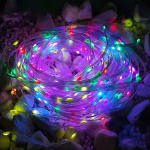 32/ 50/ 65FT IC-RGB Fairy Lights, Intelligent LED Fairy Lights, APP& Remote Control, Music Synchronous Color Change, USB Power Supply, DIY Bedroom, Christmas, Party Decorative Lights