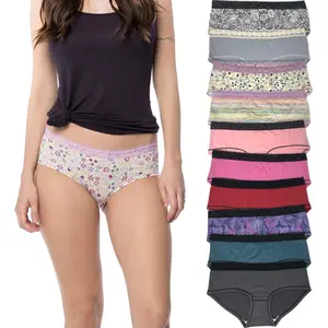 Sexy Basics Women’s Hipster Brief Lace Panties | Ultra-Smooth Micro Fiber Nylon Spandex Hipsters -Multi Packs