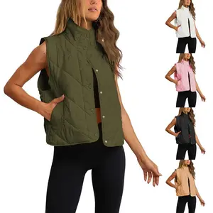 Women's Quilted Puffer Vest Stand Collar Lightweight Button Down Padded Gilet with Pockets